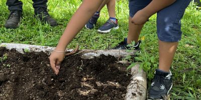 Préparation de l’espace de plantation