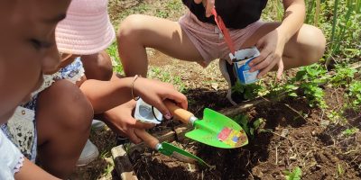 Projet jardin et visite de la ferme coco