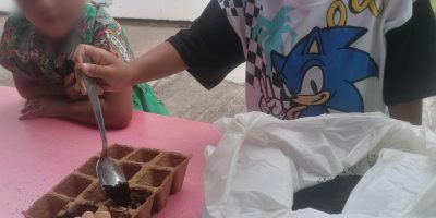 Graines / pas graines en classe de MS/GS