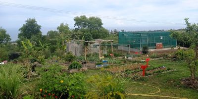 Les mains dans la terre et le compost à Kaz Maron