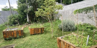 Utilisons les “déchets organiques” de notre cour de récréation.