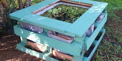 Une mare de biodiversité.
