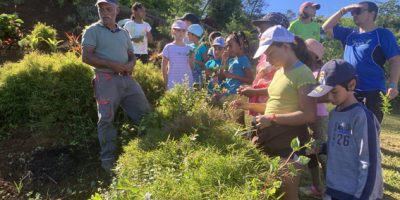 A la découverte du patrimoine des jardins créoles avec l’ADH