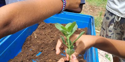 Visite du Jardin Endémia