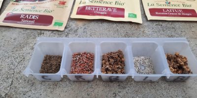 De la graine au jardin !