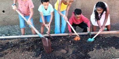 Notre compost au service de notre potager