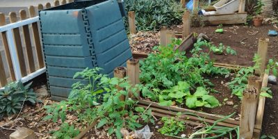 COMPOSTAGE ET PLANTAITON
