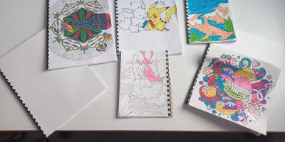 Les carnets « récup »