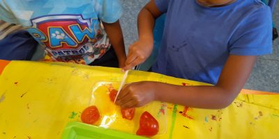 utilisation de tomates coupées pour faire pousser des plants