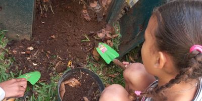 Super compost