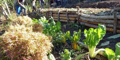 Notre matinée sur le site du jardin Biologique de l’association “Pieds à l’étrier”.