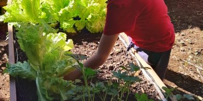 Des jardinières autonomes pour compléter l’aménagement de nos espaces