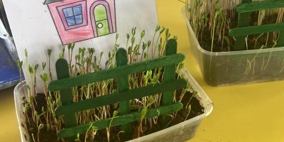 Jardin de pâques, germination et recyclage