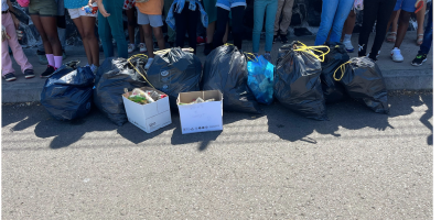 World Clean Up Day