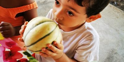 Découvrir les fruits par les 5 sens