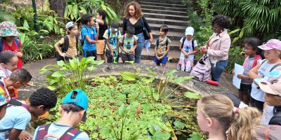 Sortie au jardin botanique les MASCARINS – Parcours réunion – Classe de CE2