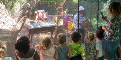 Visite d’un rucher et d’un jardin bio