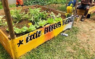 Décoration de jardinière