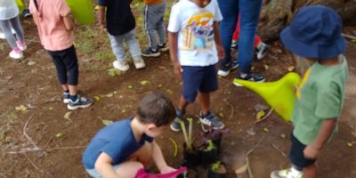 La Maternelle au jardin