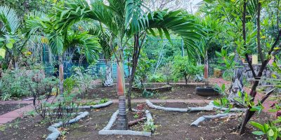 Utiliser les bouteilles d’eau vides de la cantine