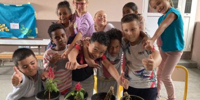 Comment poussent les plantes ?