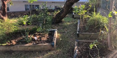 le potager de la maternelle