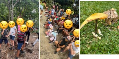 Les CP – ce2-cm1 de l’école du Bernica au jardin d’Eden