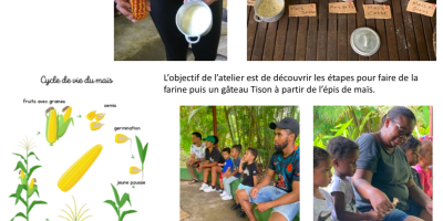 Du maïs dans le champs au gâteau Tison