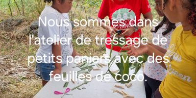 SORTIE A ENDEMIA DANS LES HAUTS DE SAINT -PAUL