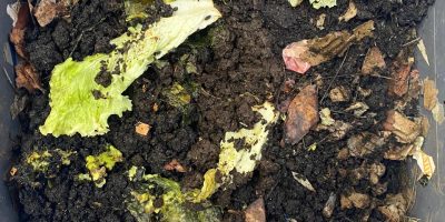 Le tri et la gestion des déchets biodégradables… l’affaire de tous !