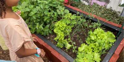Entrtien des bacs de permaculture AGK