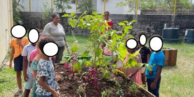 Plantation avec An Grèn Kouler