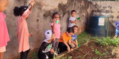 Un potager en maternelle