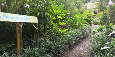 Visite au jardin des épices