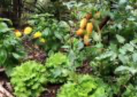 Notre projet Potager, PS/GS/GS
