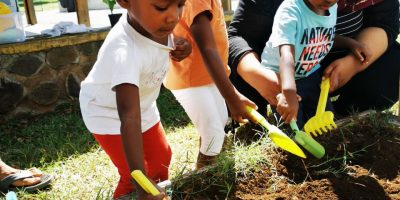 Projet Potager