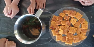 NOUS SOMMES DES PETITS DEBROUILLARDS : « du jardin à l’assiette »