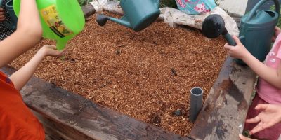 La lasagne du wicking bed