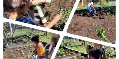 Projet jardin pédagogique de la classe PS/MS.