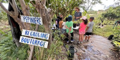 Sentier Endémia : L’atelier pépinière