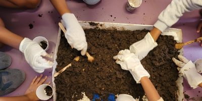 Lombricomposteur à l’école Adèle Ferrand