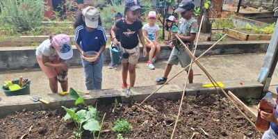Création d’un potager à l’école