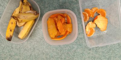 Nos expériences sur la décomposition des aliments dans les composteurs