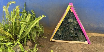 Un hôtel à insectes dans notre école