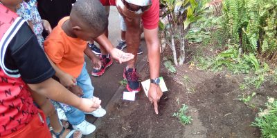 Notre jardin créole