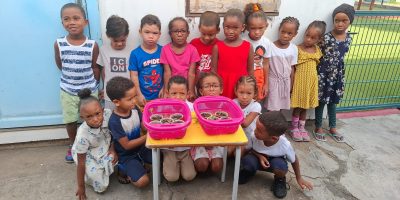 Les haricots en GS 6 (2)
