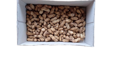 Les cacahuètes : Pistash