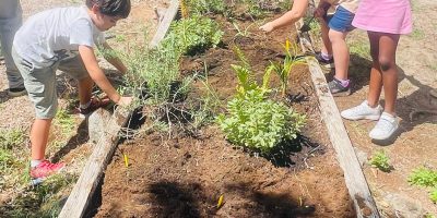 Culture du maïs et création d’un potager