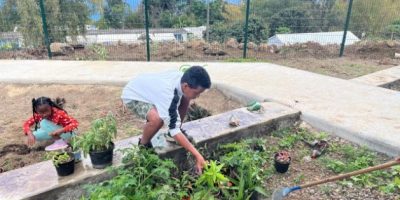 Les apprentis sages cultivent !