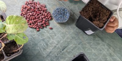 À vos mains, prêts, partez pour la plantation avec les CPA !